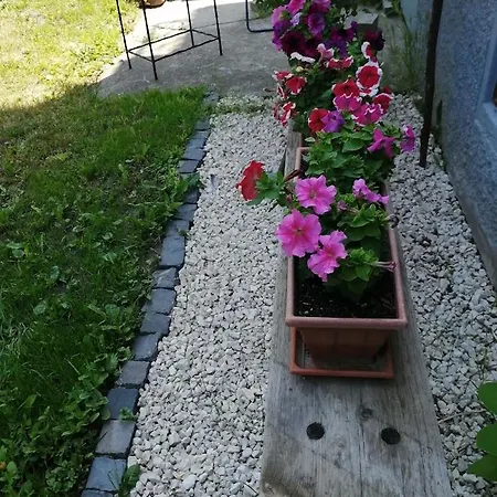 Apartament Elizabeth Makó